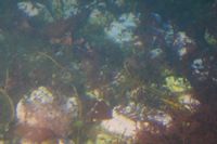 
DSC00031